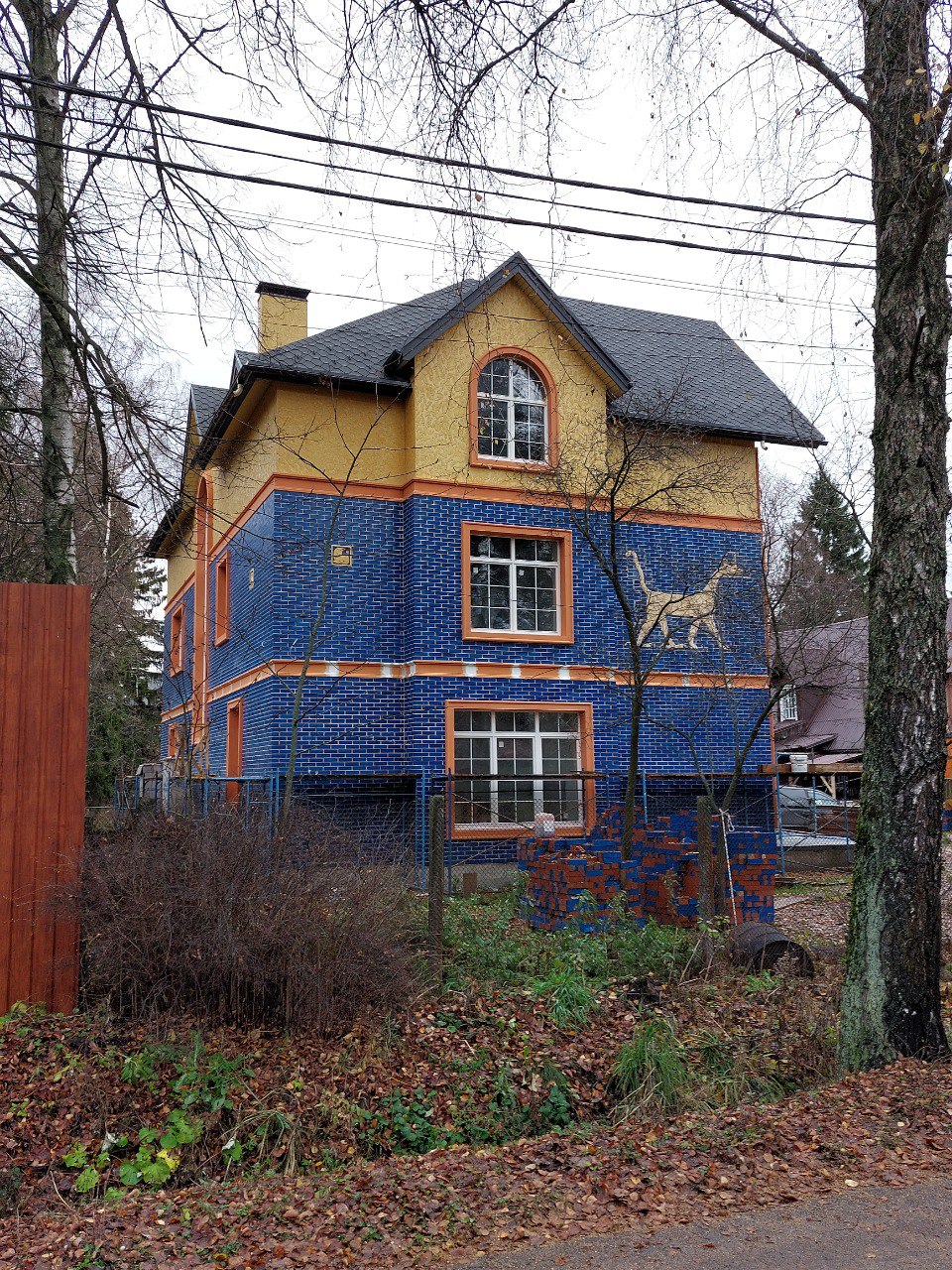 Project image 1