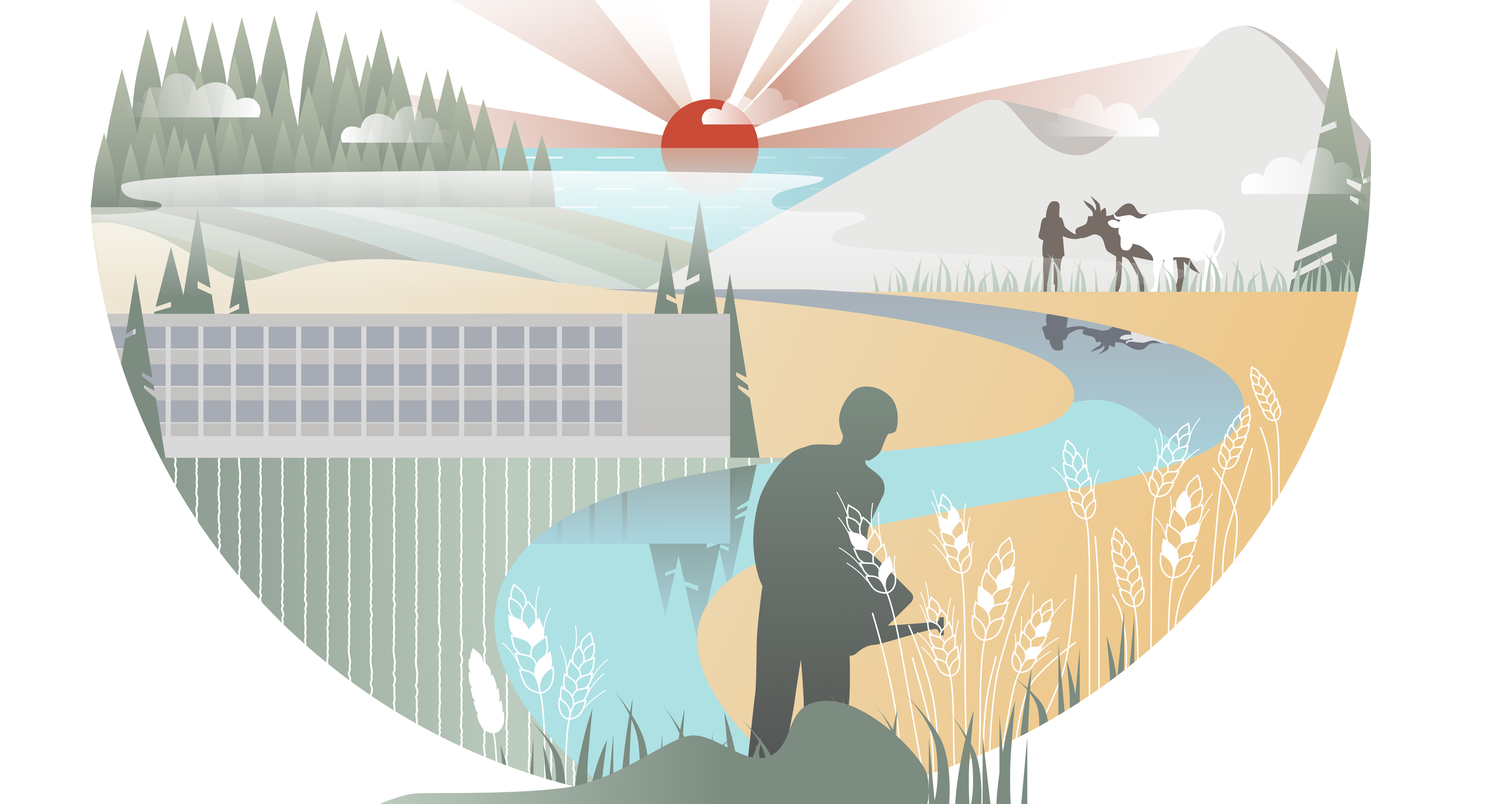 Project image 6