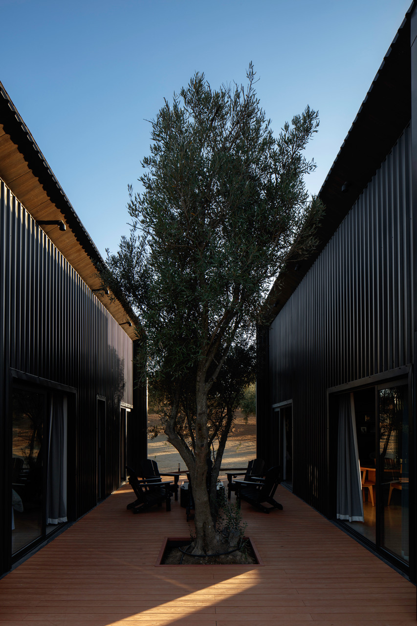 Project image 6