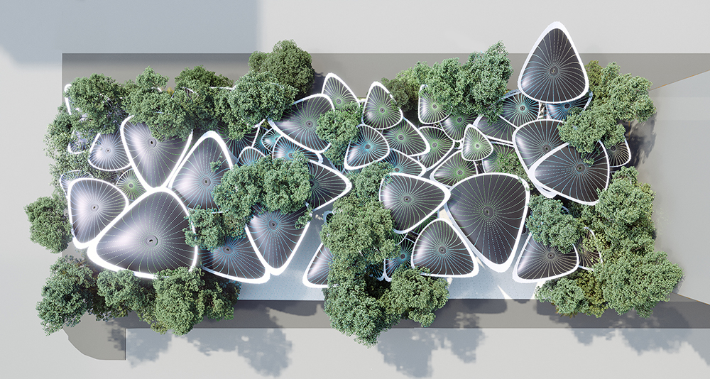 Project image 3