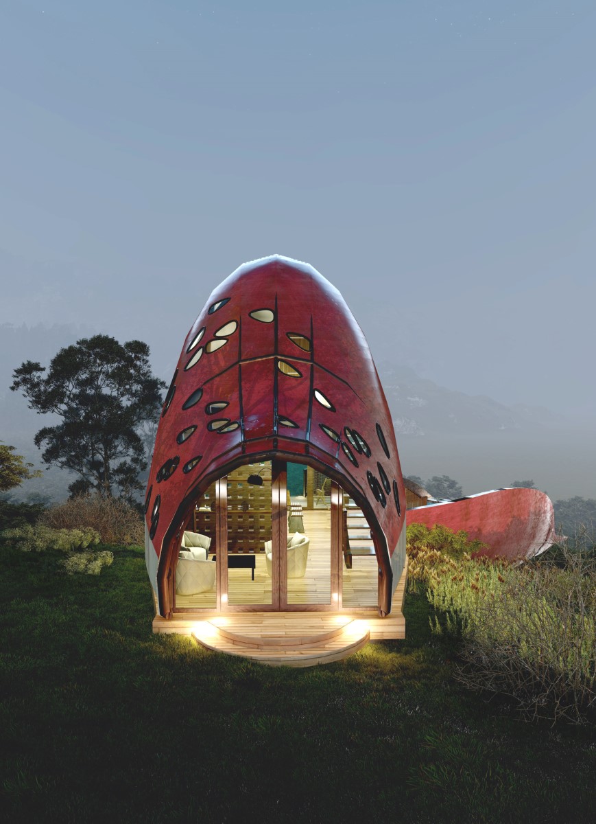 Project image 3