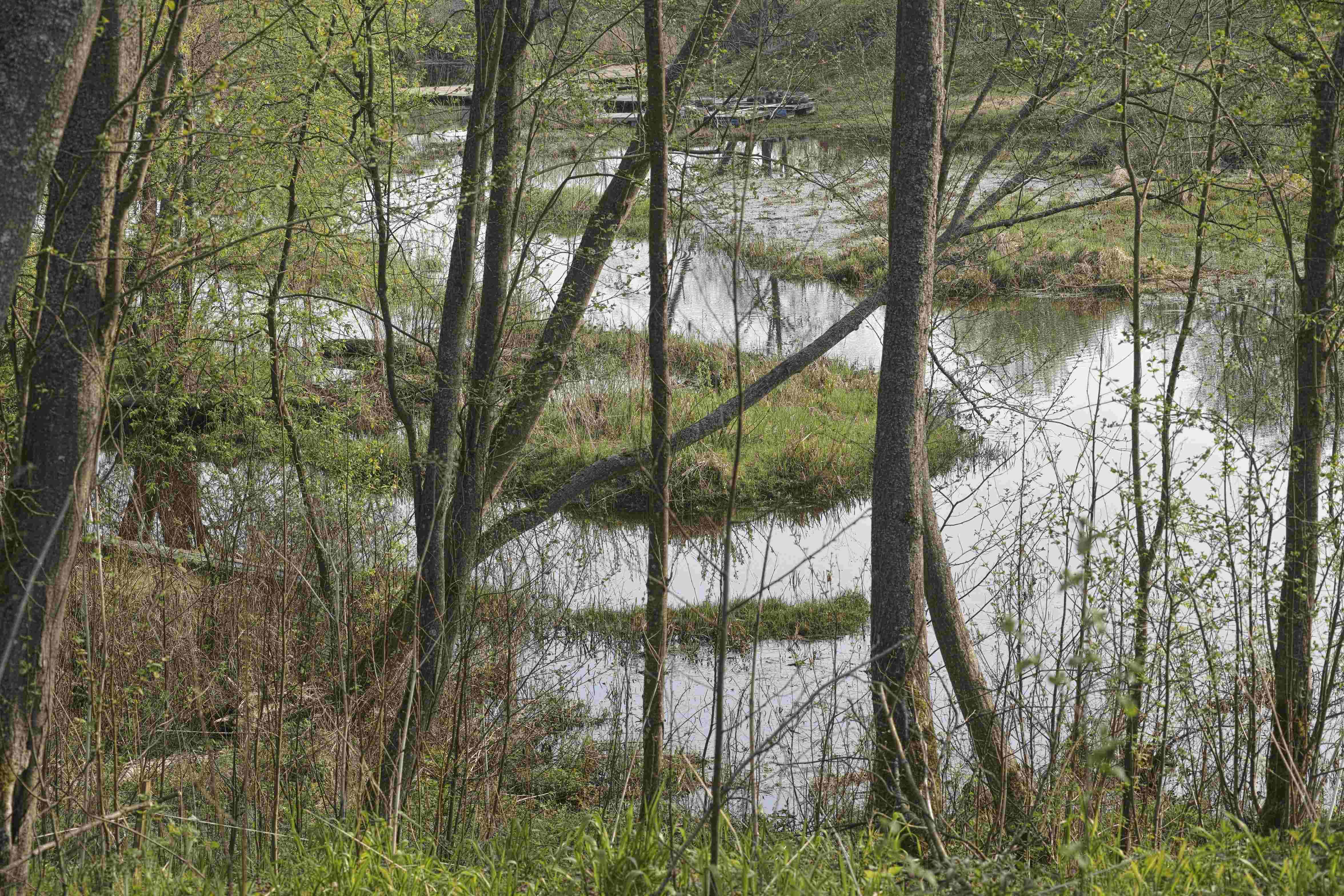 Project image 3