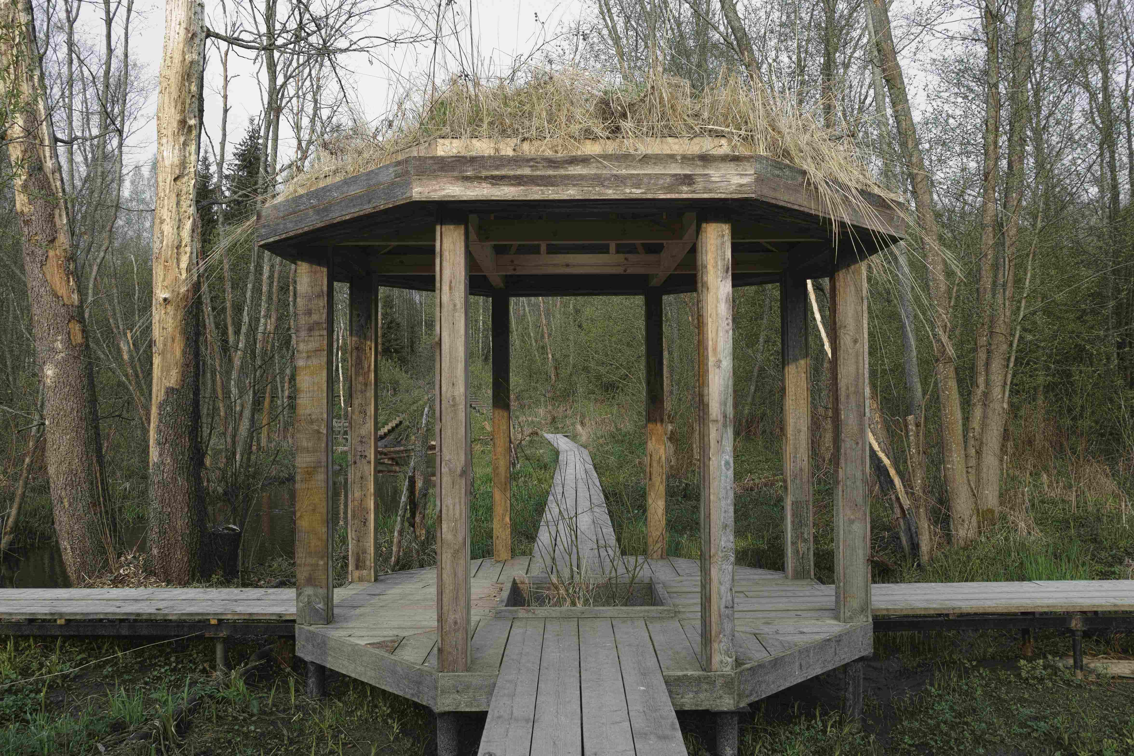 Project image 4