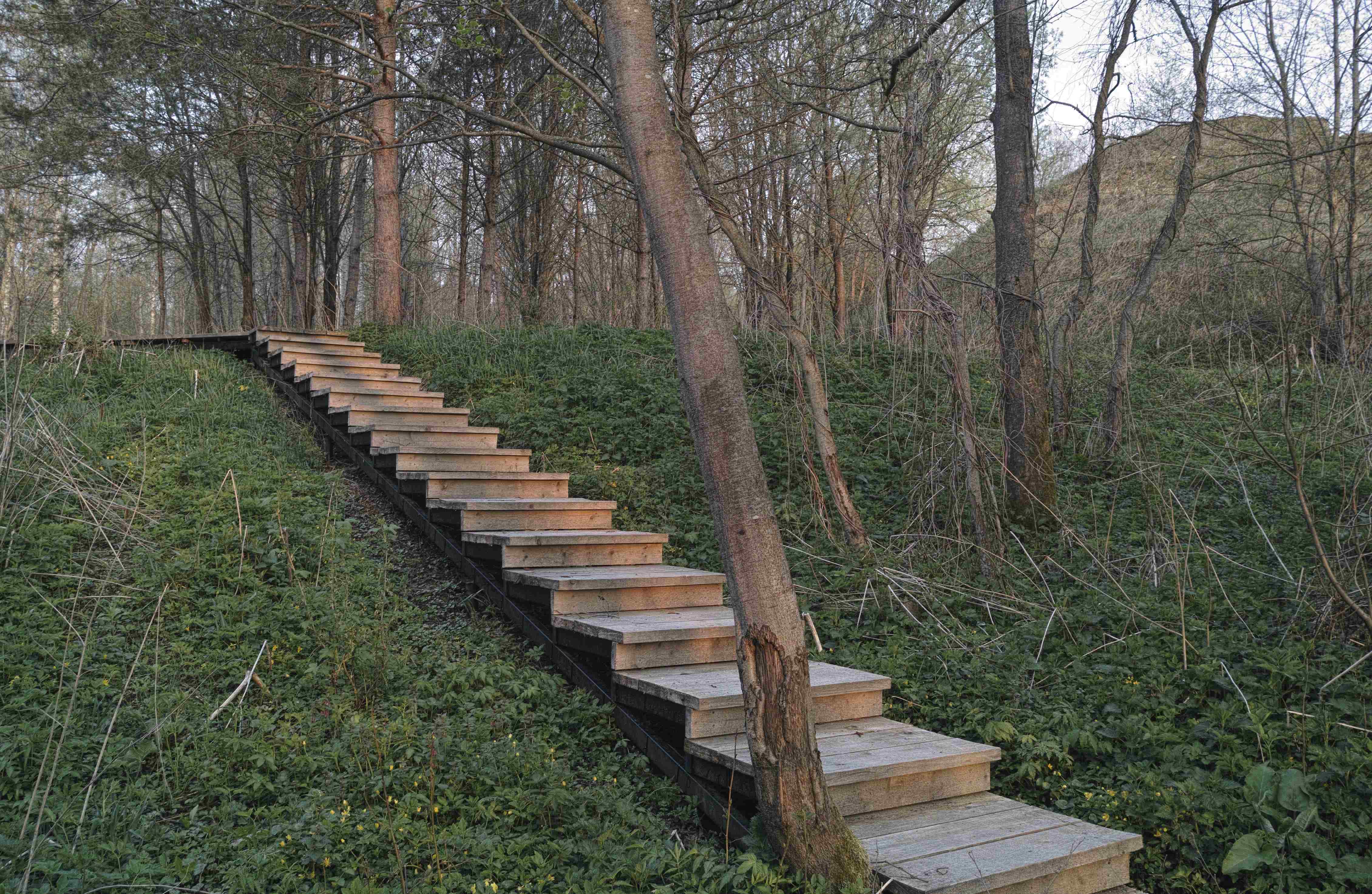 Project image 5