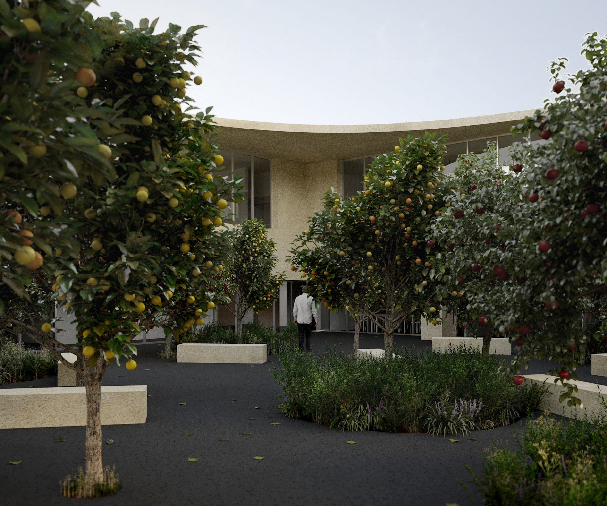 Project image 3