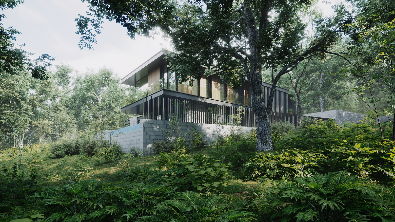 Project image 6