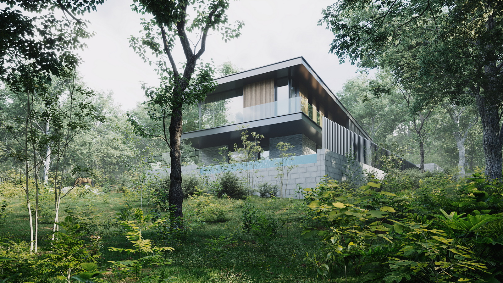 Project image 1