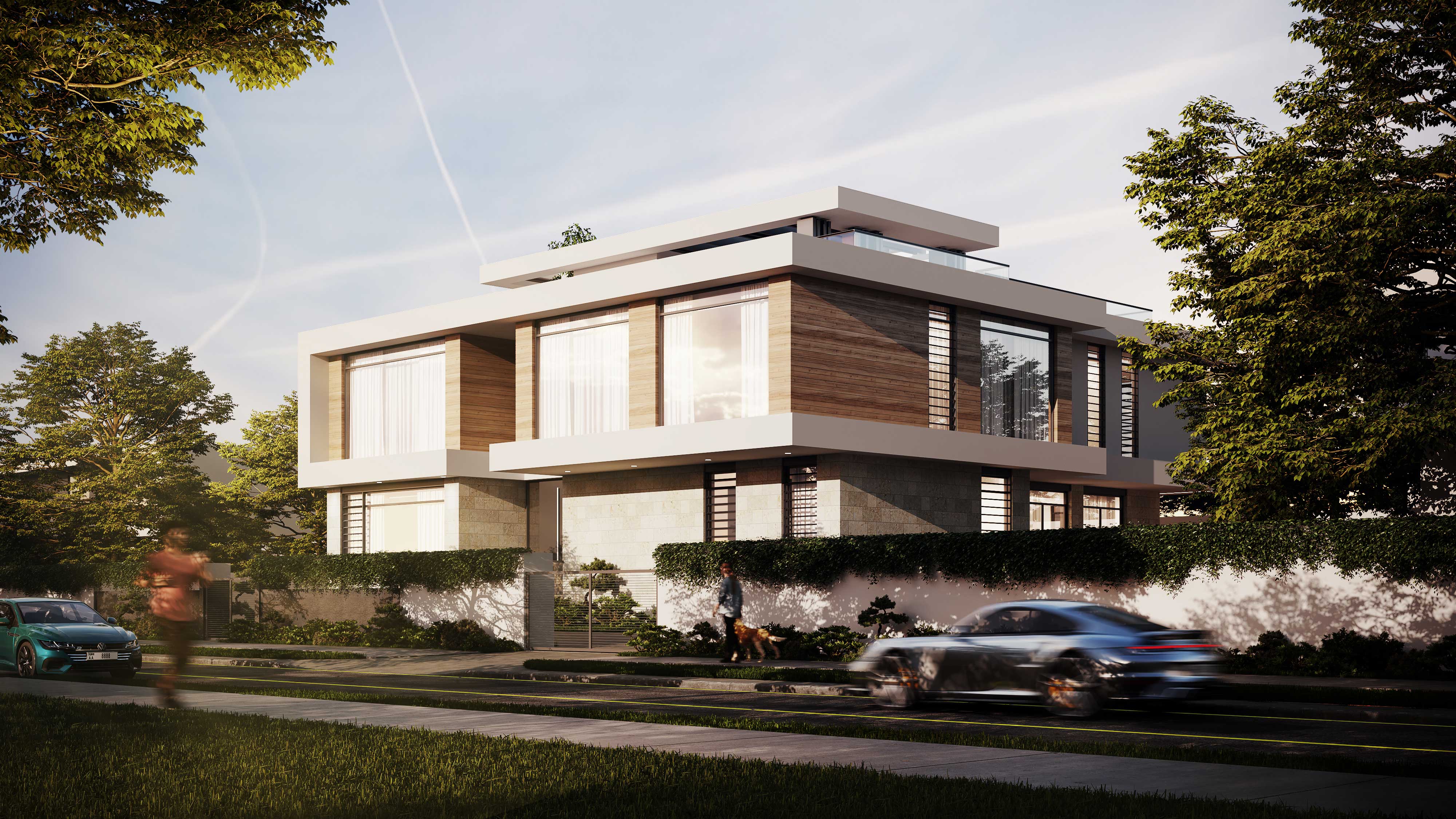 Project image 1