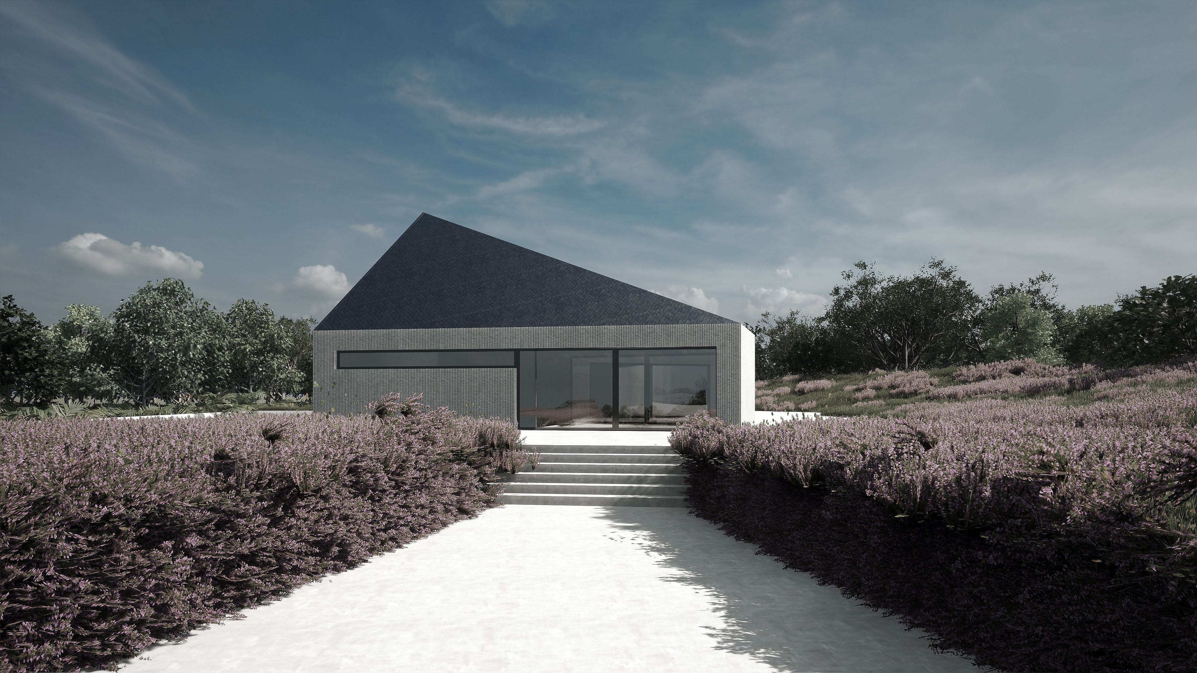 Project image 4