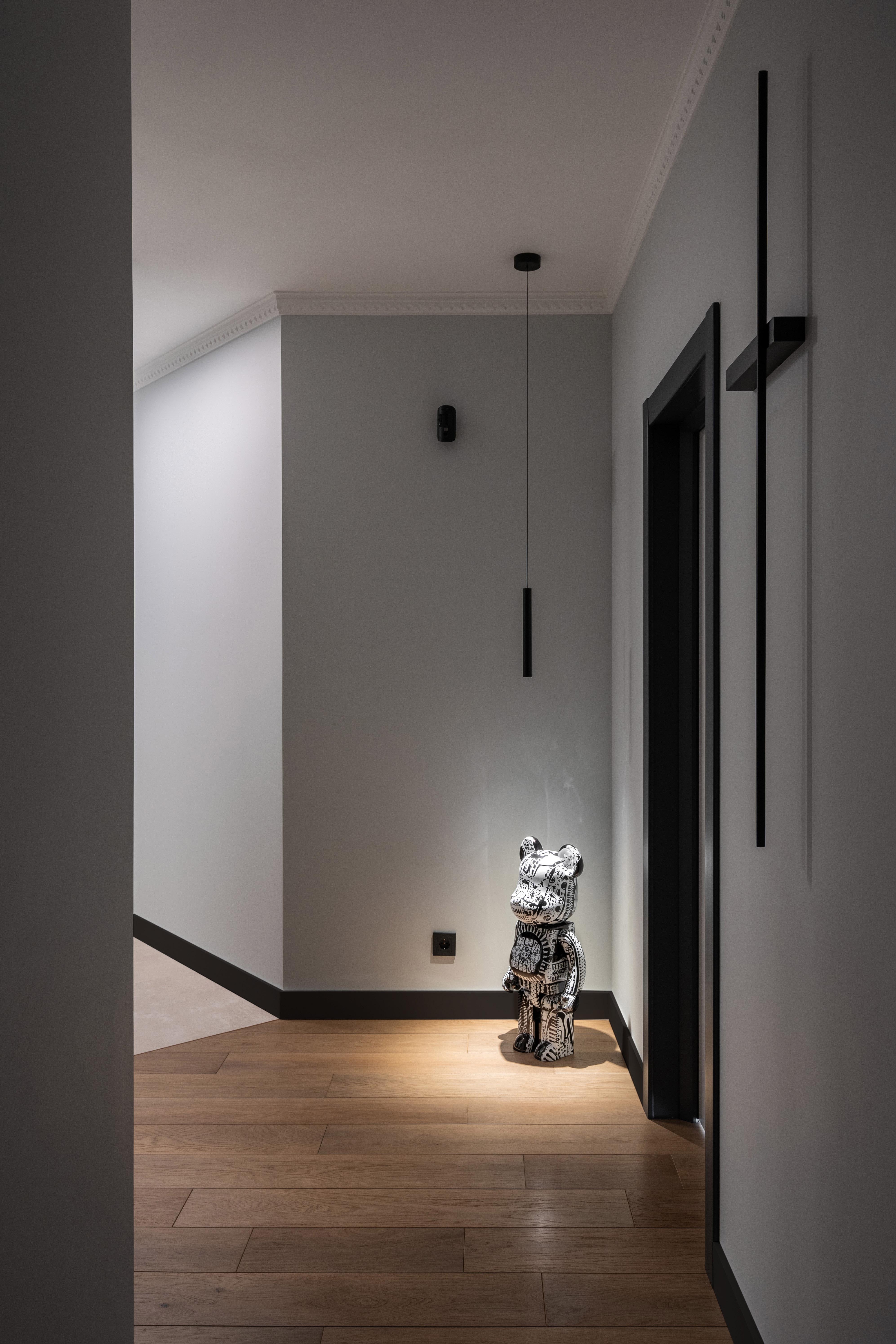 Project image 6