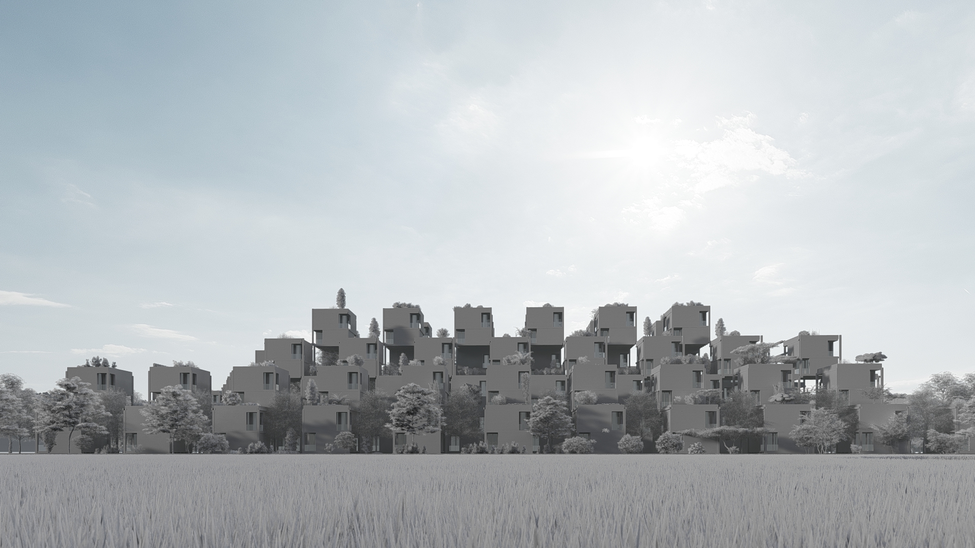 Project image 4