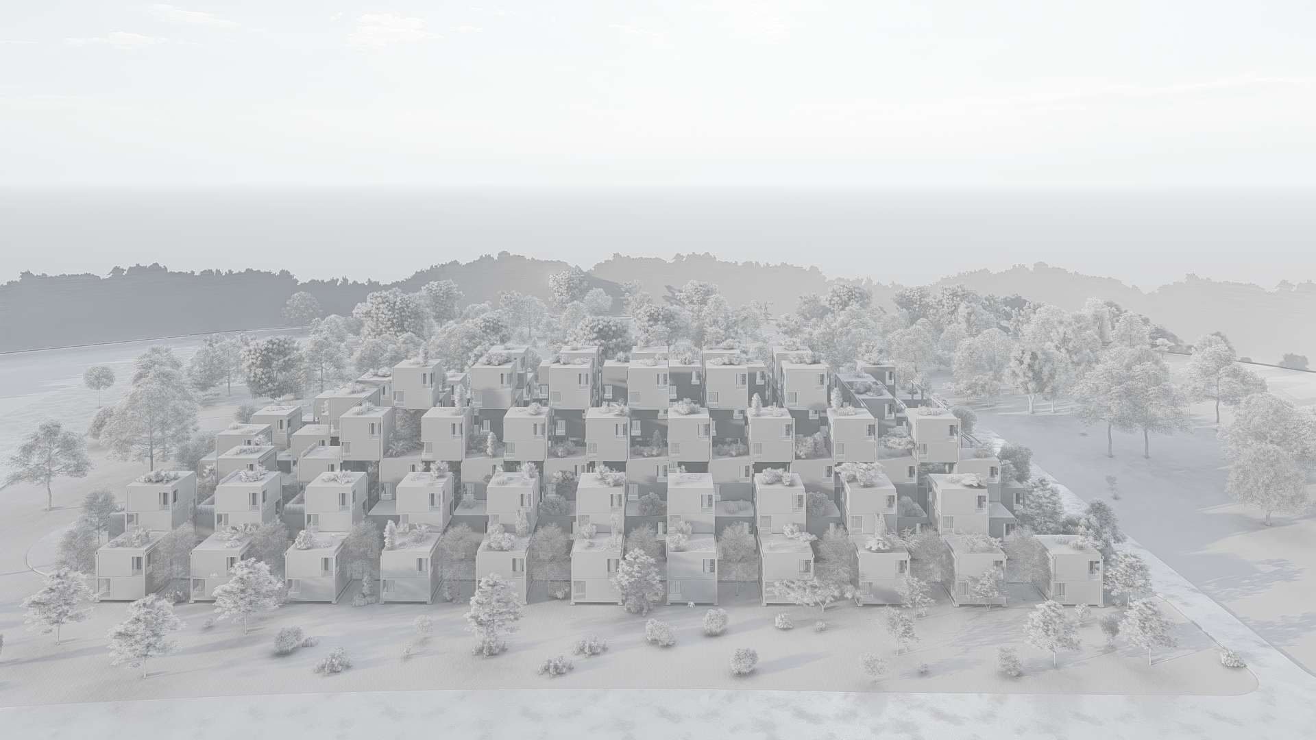 Project image 6