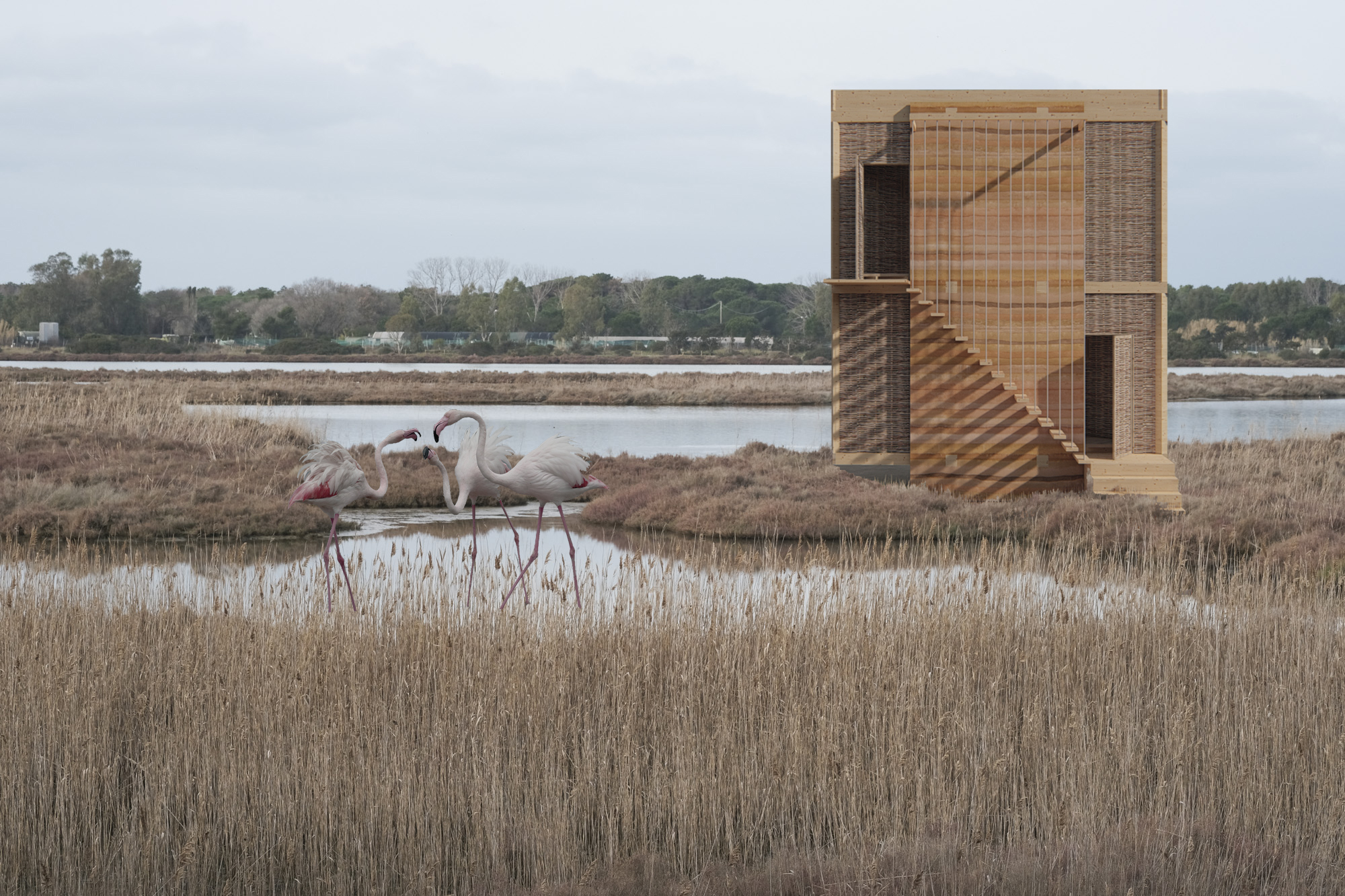 Project image 1