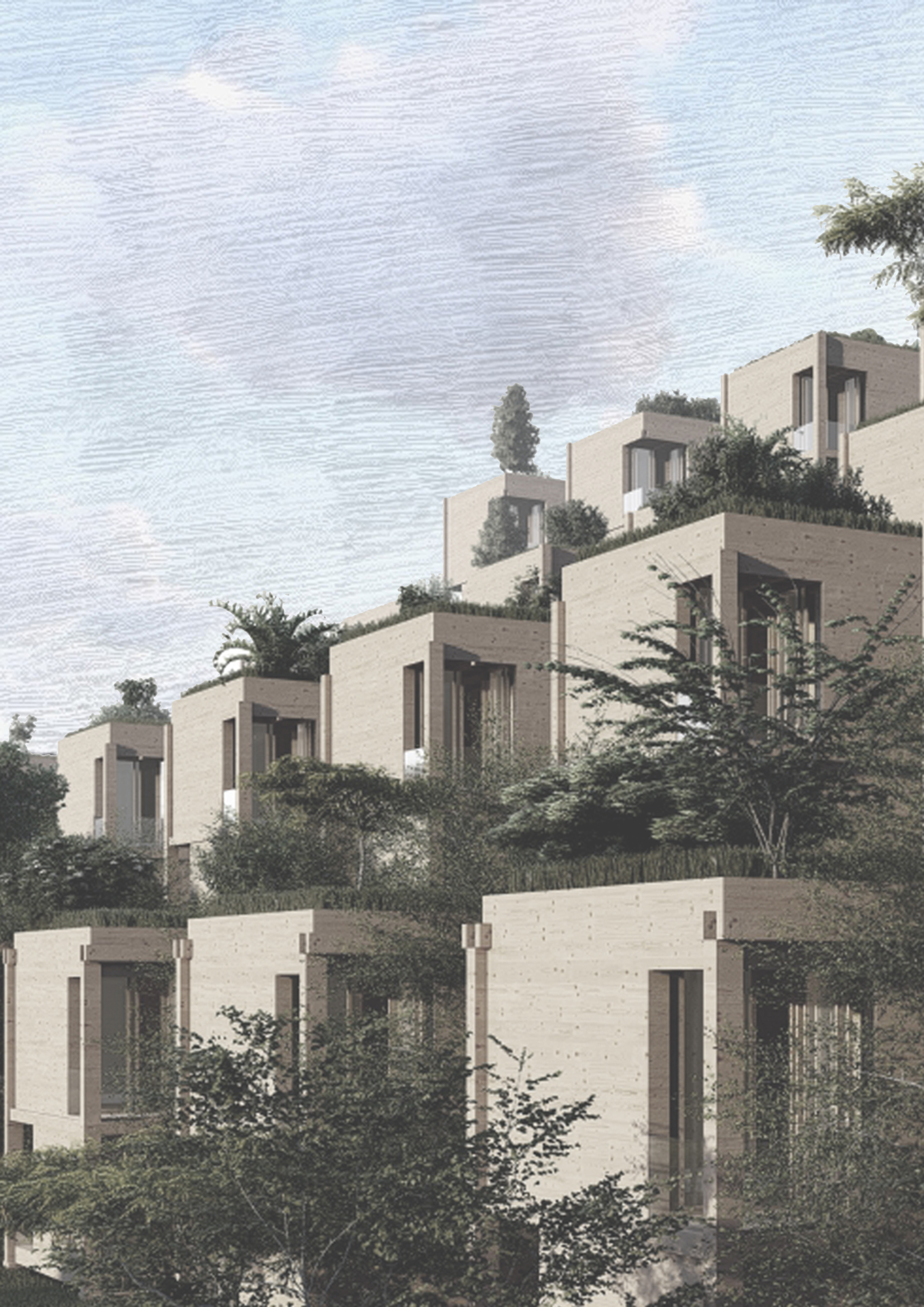 Project image 3