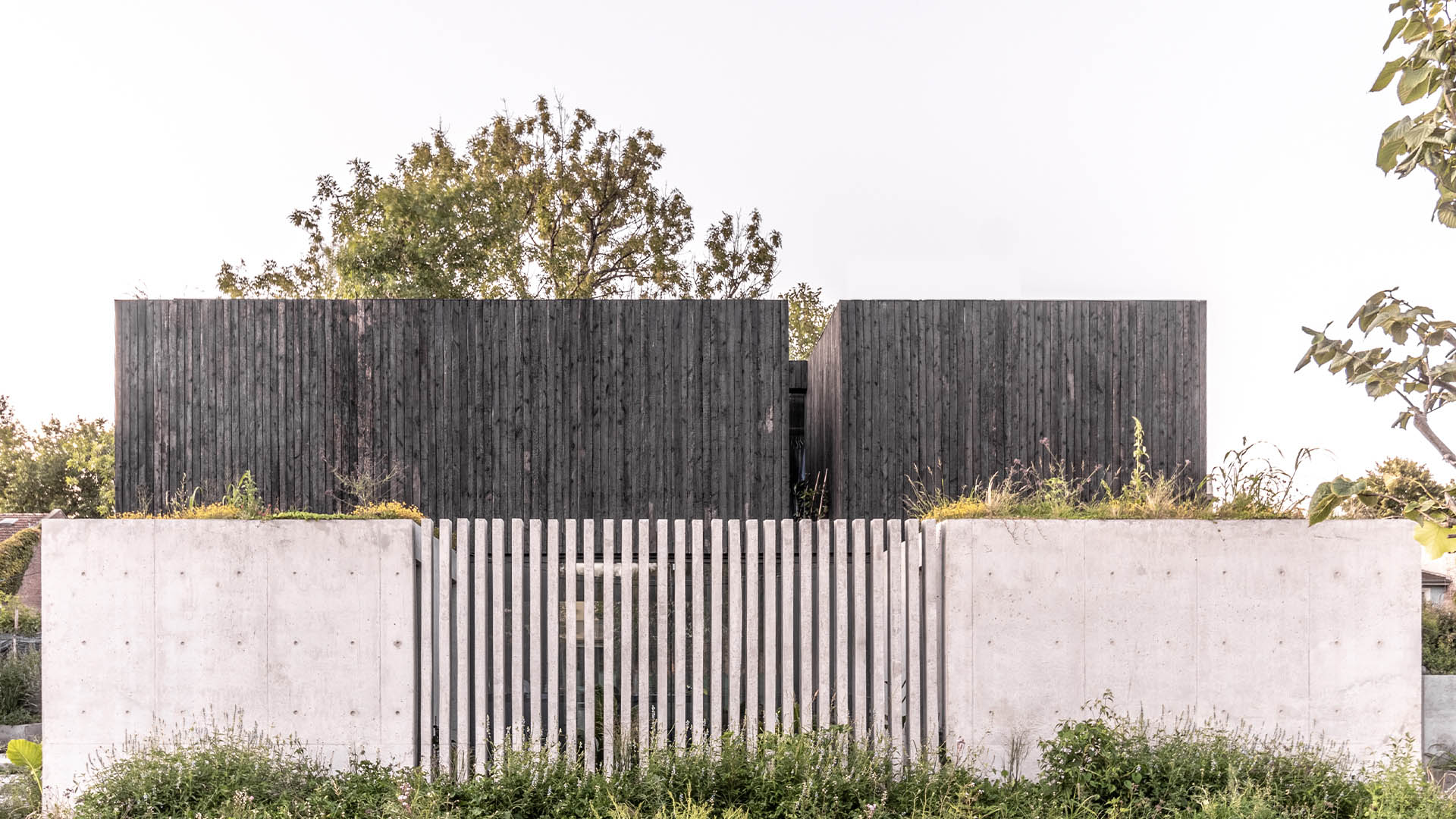 Project image 1