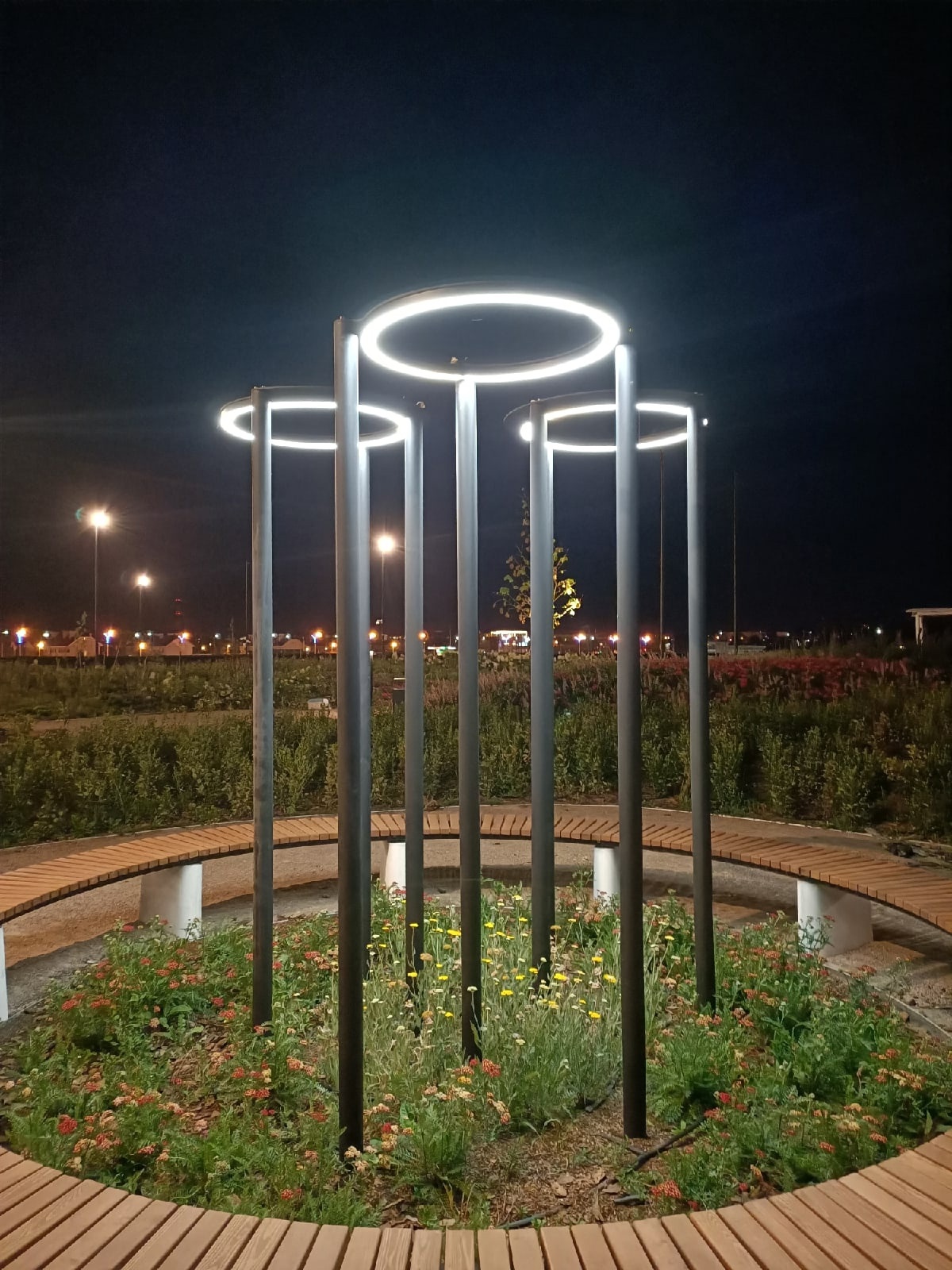 Project image 5