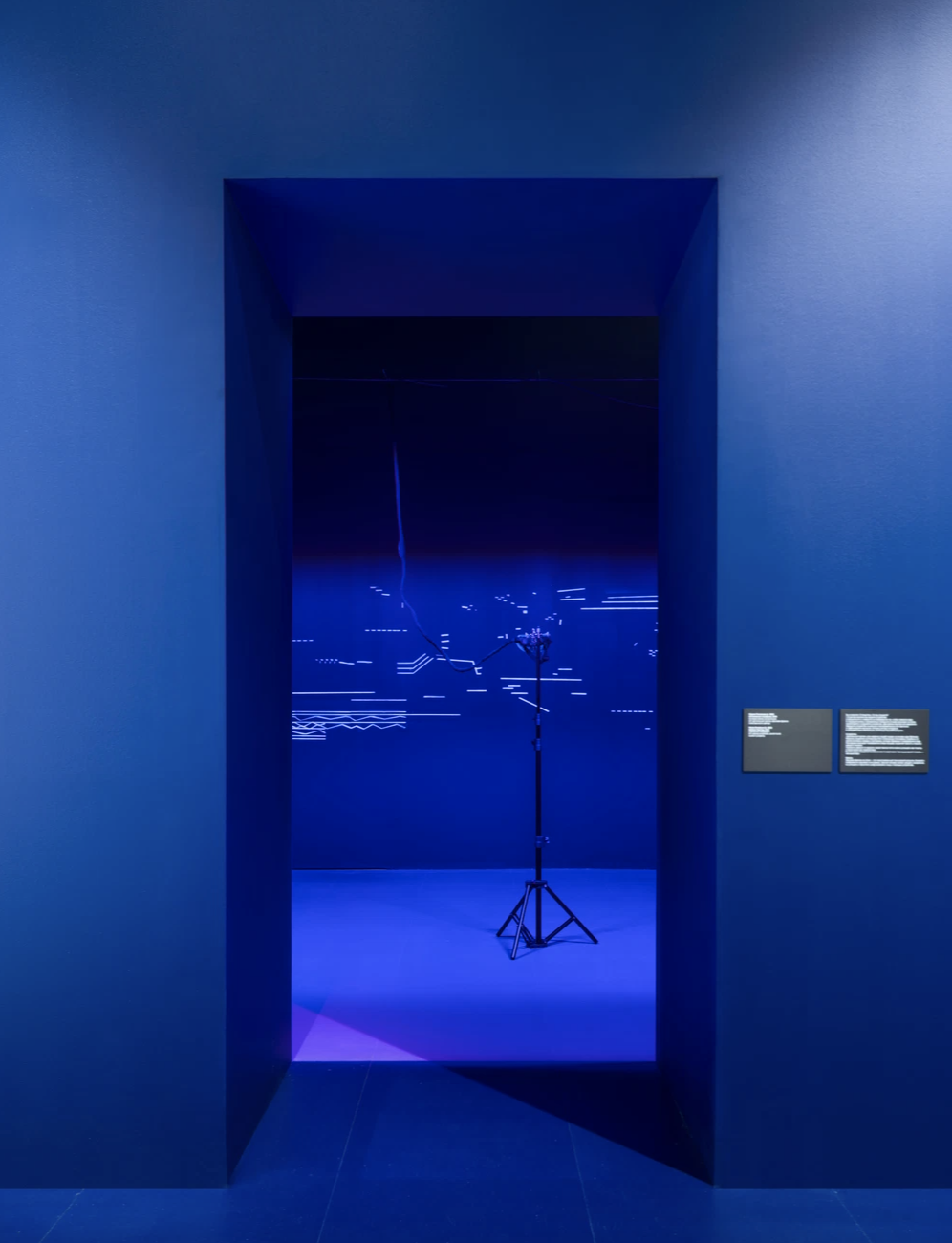 Project image 6