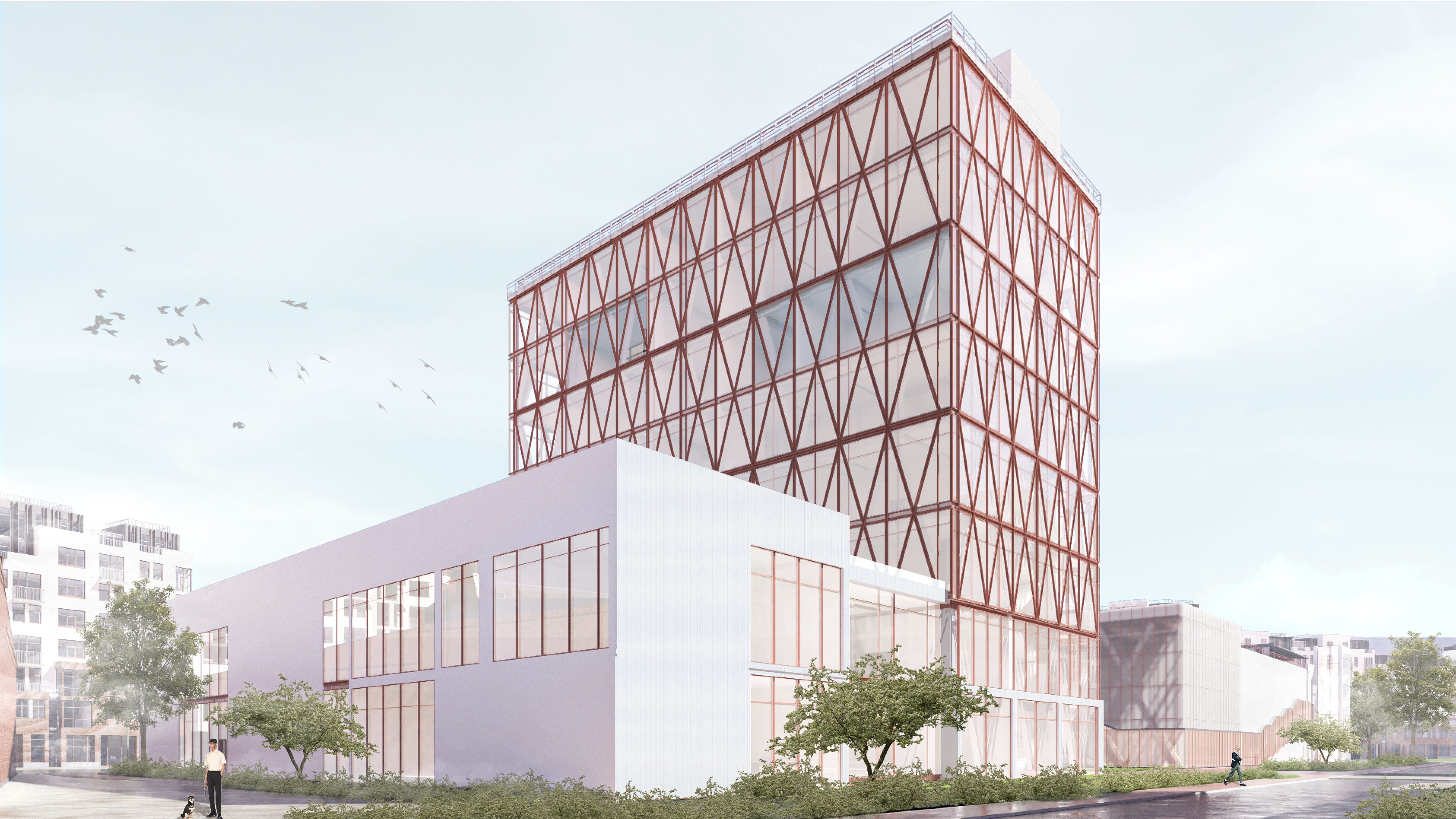 Project image 3