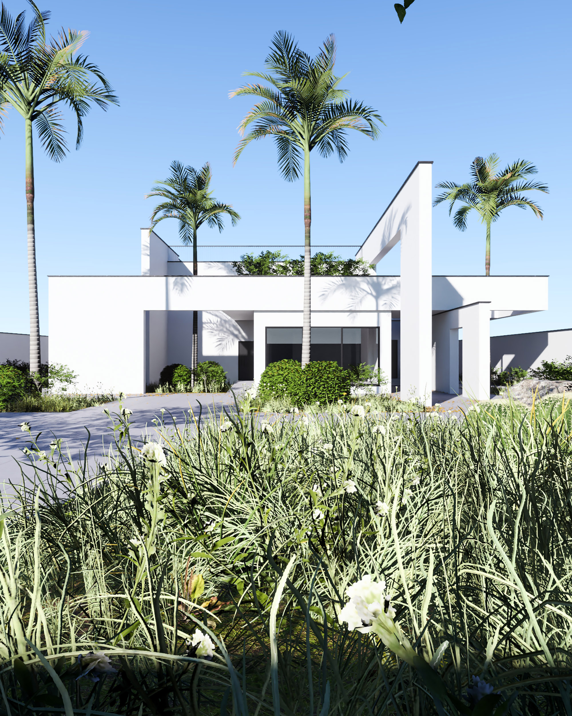 Project image 1