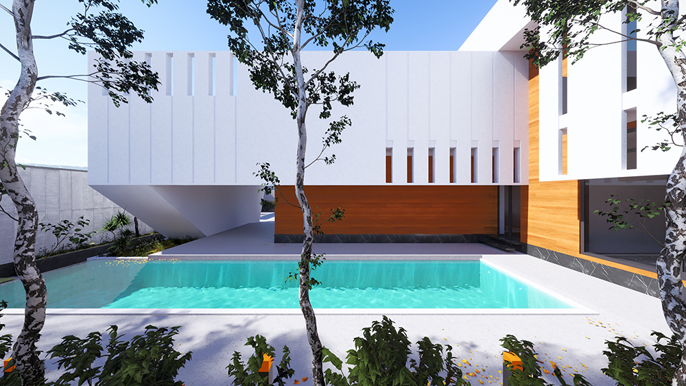 Project image 3