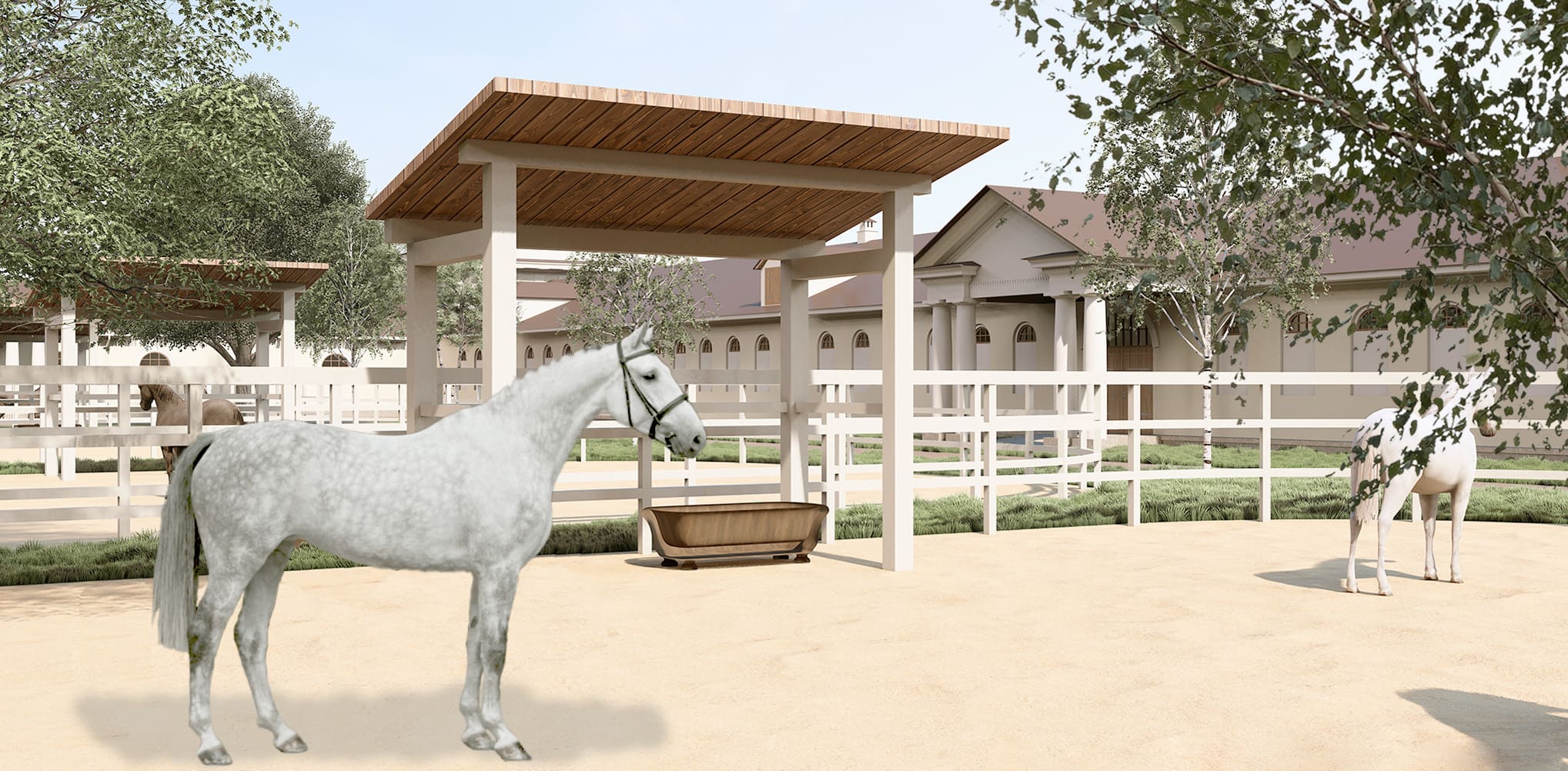 Project image 5