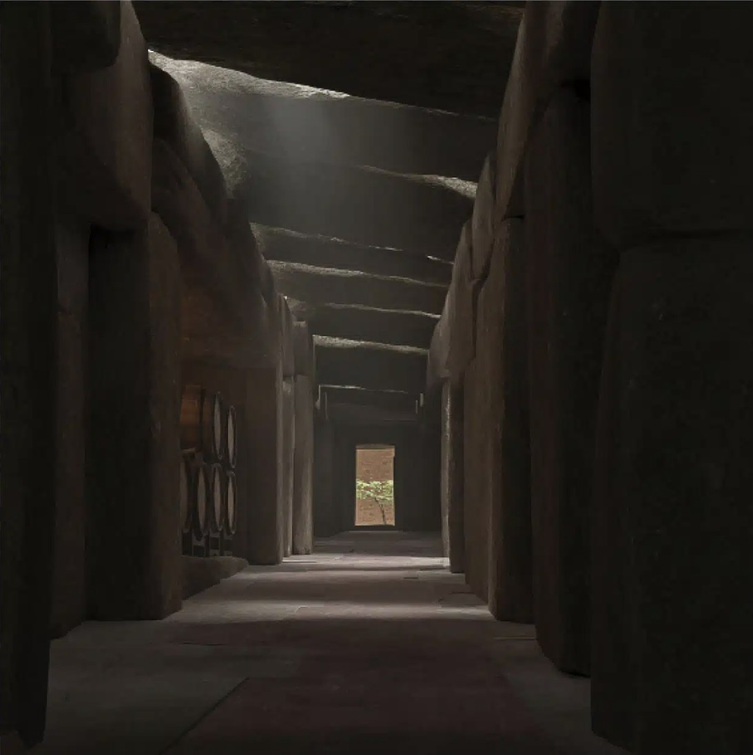 Project image 4